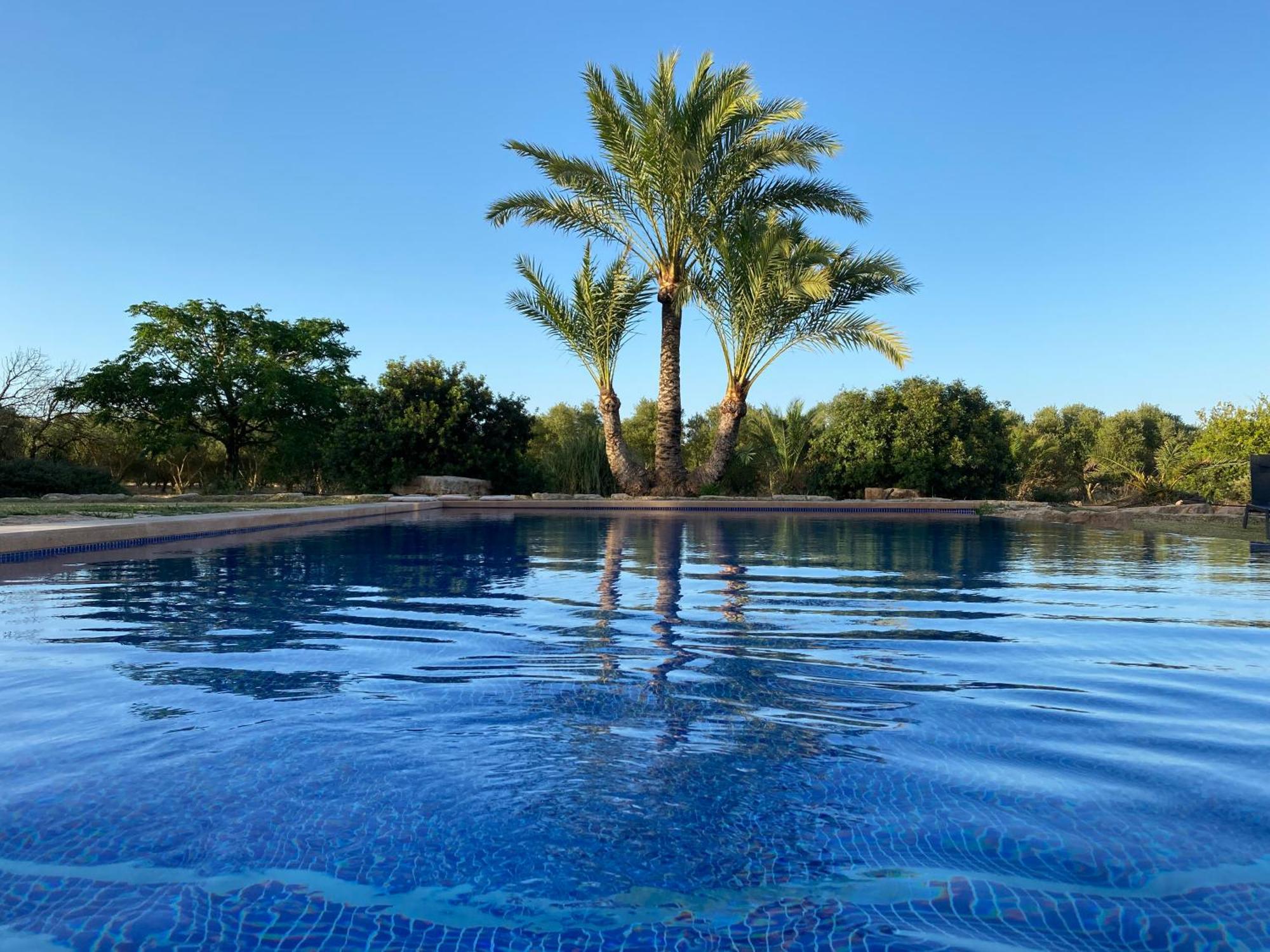 Mallorca Finca Gallo Negro Santanyi Campos Gesamte Unterkunft Social Media Campos (Mallorca)
