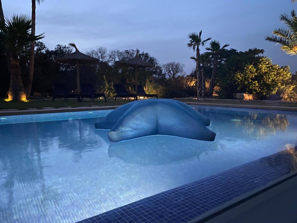 Mallorca Finca Gallo Negro Santanyi Campos Gesamte Unterkunft Social Media