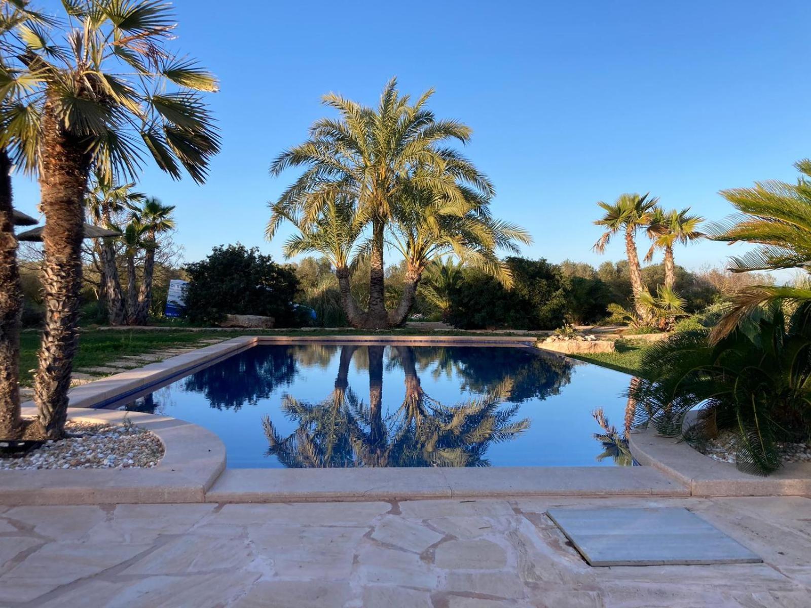 Mallorca Finca Gallo Negro Santanyi Campos Gesamte Unterkunft Social Media