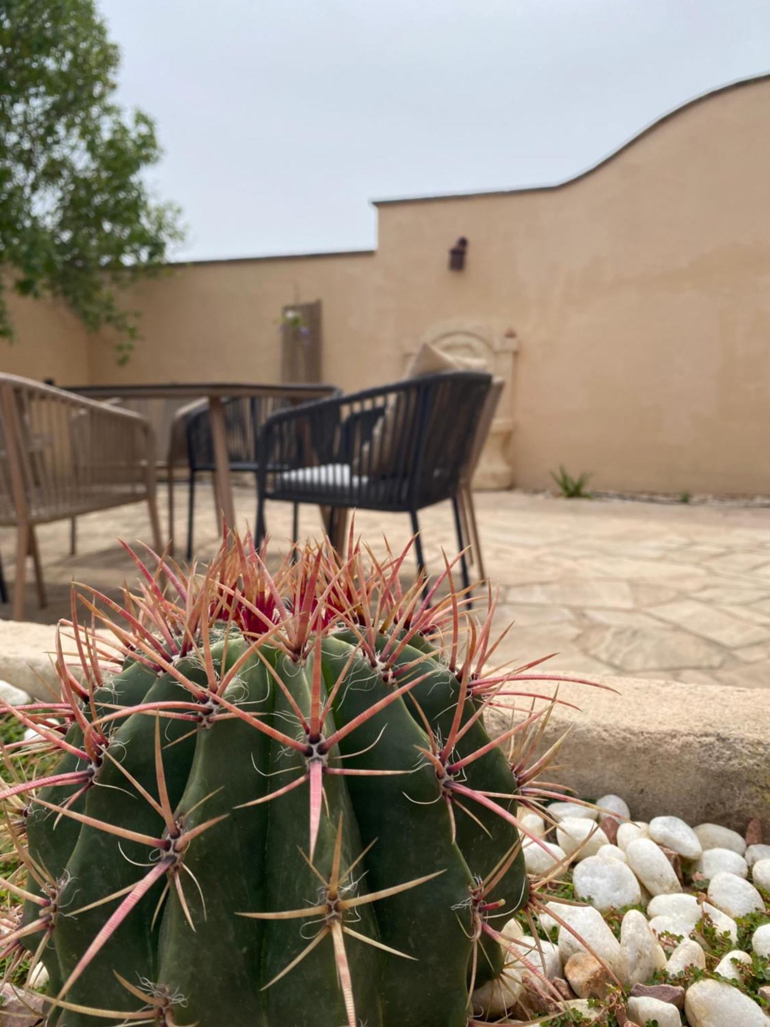 Mallorca Finca Gallo Negro Santanyi Campos Gesamte Unterkunft Social Media * Campos (Mallorca)