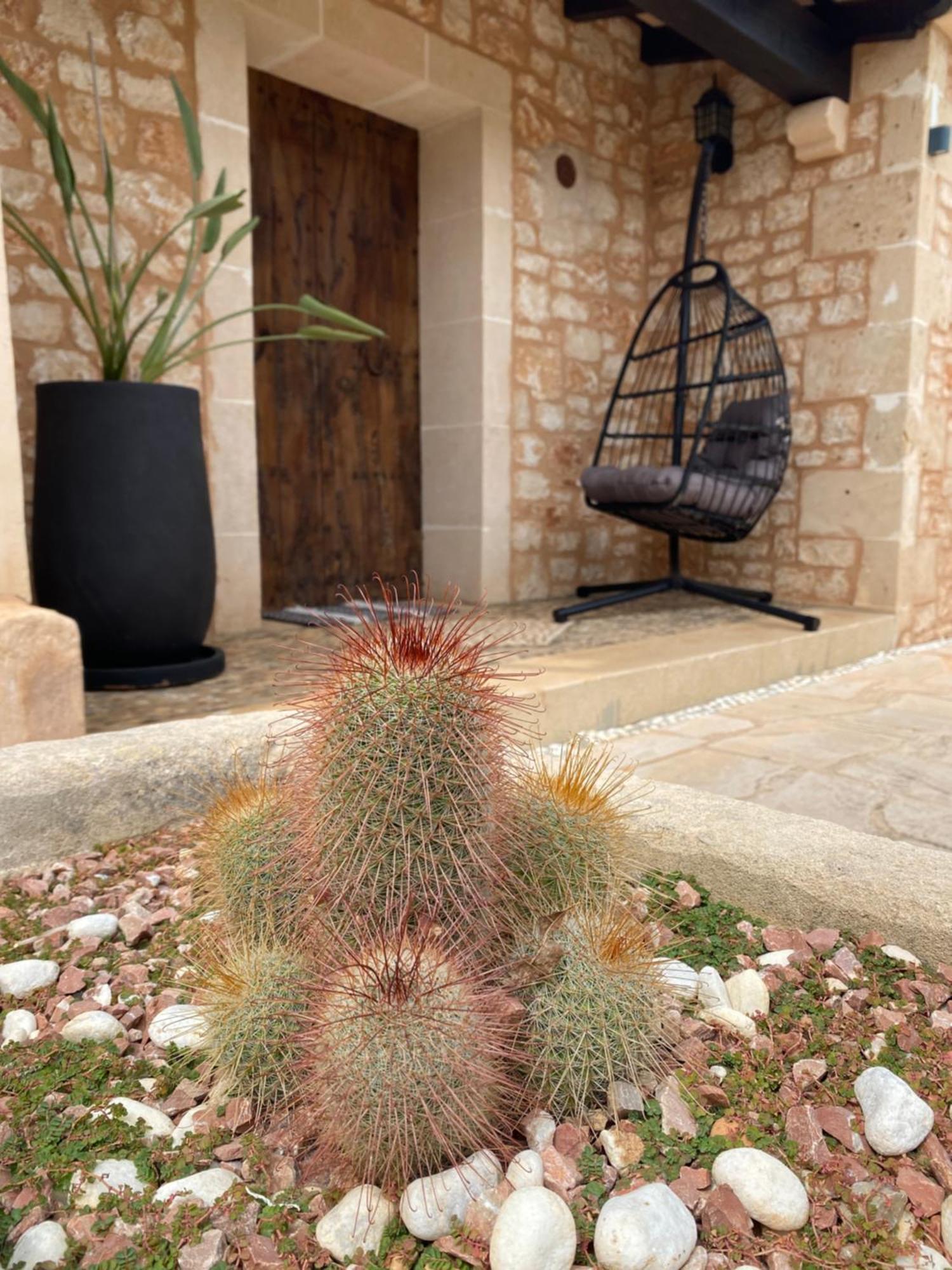 Mallorca Finca Gallo Negro Santanyi Campos Gesamte Unterkunft Social Media Villa