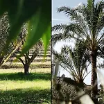 Mallorca 19 Km Montuiri Finca Gallo Negro Santanyi Campos Gesamte Unterkunft Social Media
