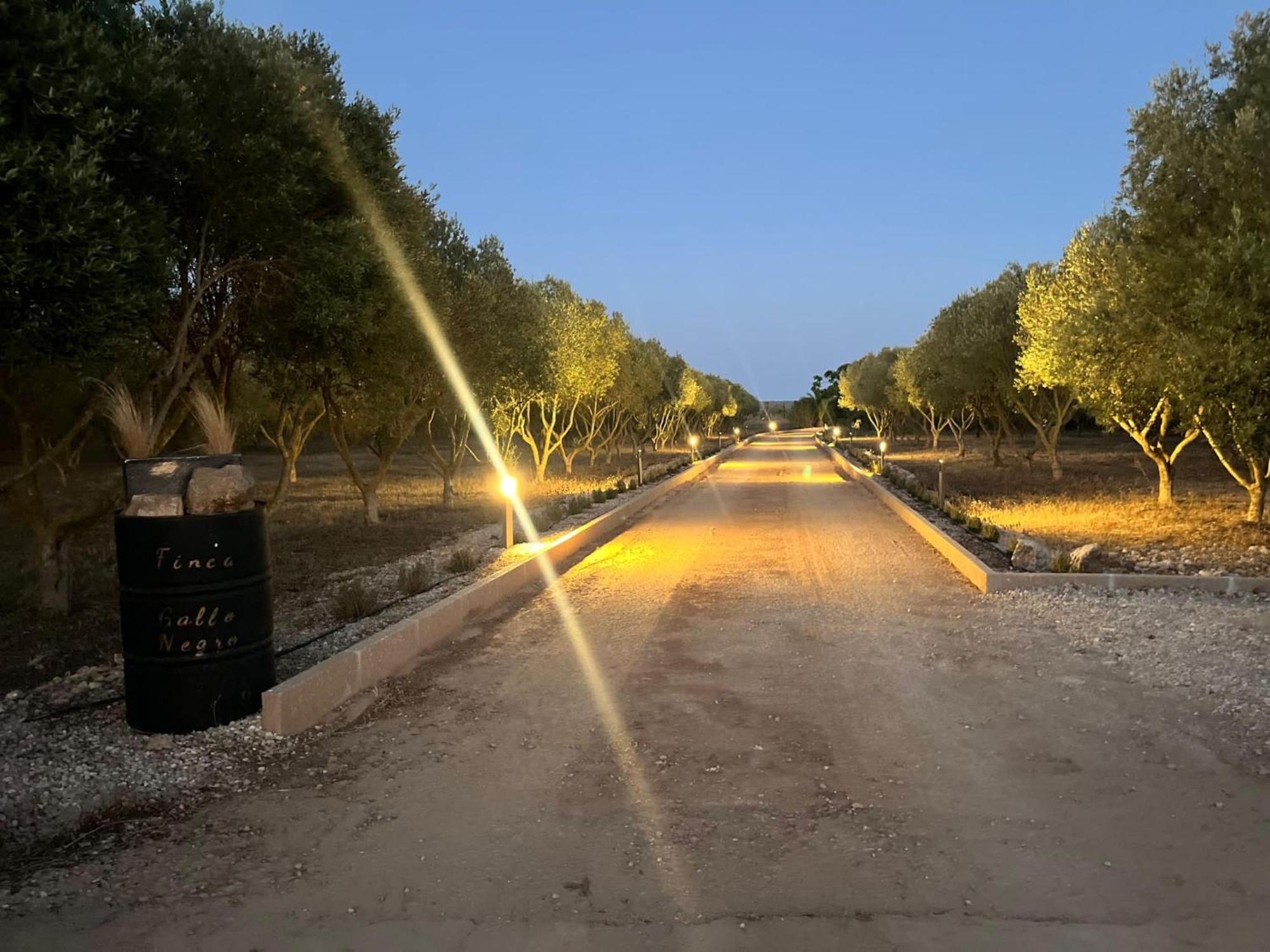 Villa Mallorca 19 Km Montuiri Finca Gallo Negro Santanyi Campos Gesamte Unterkunft Social Media