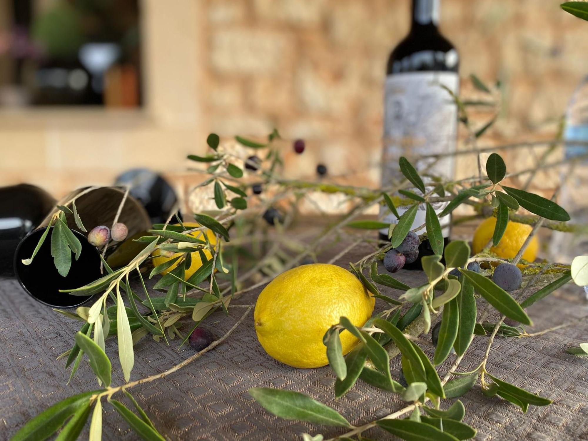 Mallorca 19 Km Montuiri Finca Gallo Negro Santanyi Campos Gesamte Unterkunft Social Media *