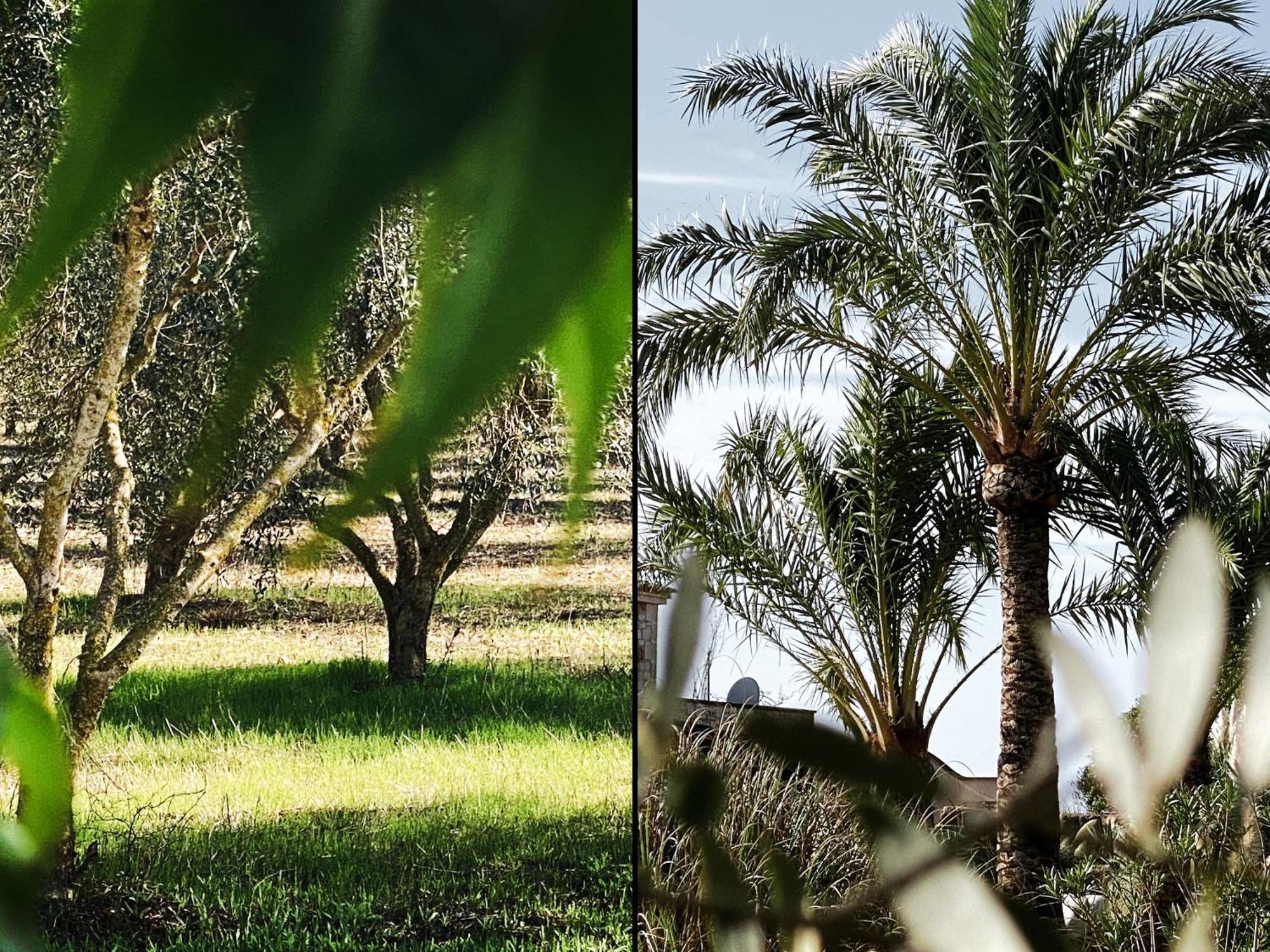Villa Mallorca 19 Km Montuiri Finca Gallo Negro Santanyi Campos Gesamte Unterkunft Social Media Campos (Mallorca)